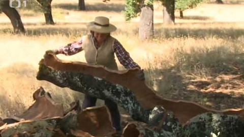 Objektiv - 21. září 2014