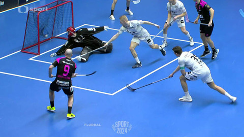 Sport roku - Florbal 2024