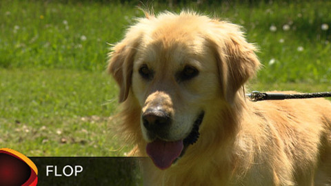 Chcete mě? - Chcete je?