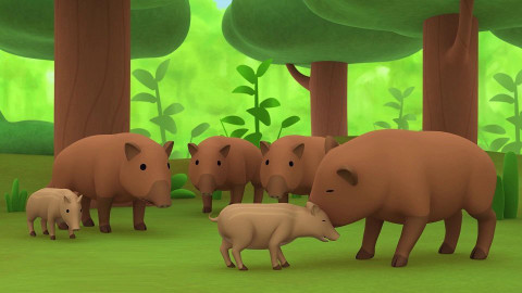 Leo, strážce přírody - Prase divoké