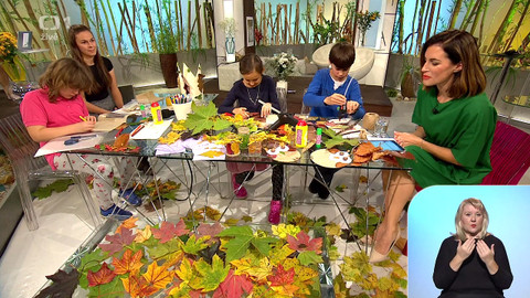 Sama doma - 19. října 2020