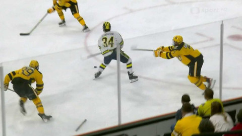 NCAA lední hokej - American International - Michigan