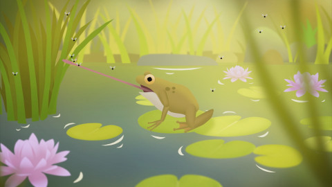 Můj mazlíček a já - roztomilá havěť - 5/10 Žáby