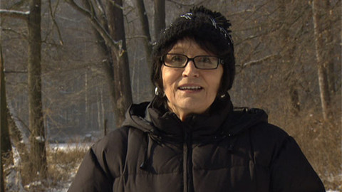 Chcete mě? - 26. února 2012