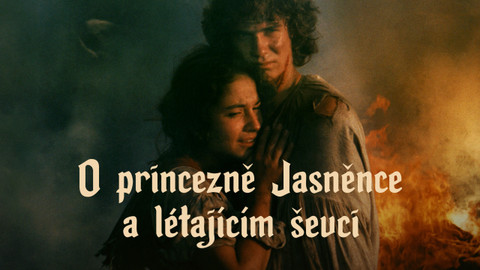 O princezně Jasněnce a létajícím ševci