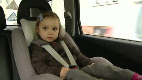 Černé ovce - 20. listopadu 2012