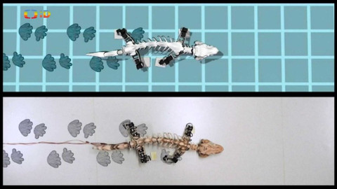 Zprávičky - 11. února 2019