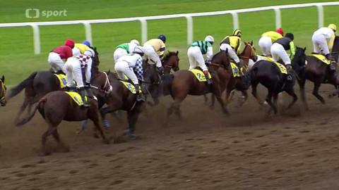 Velká pardubická - historie - 2016