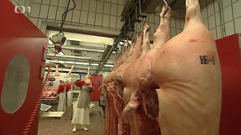 Černé ovce - 12. května 2014