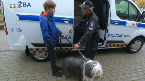 Terčin zvířecí svět - 11. prosince 2020