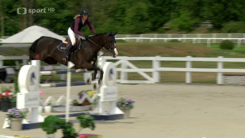 Jezdectví - MČR v parkurovém skákání Praha