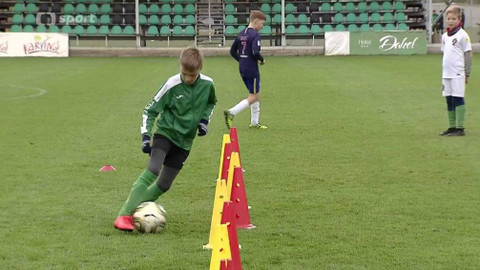 Fotbalová hvězda - 7. listopadu 2019