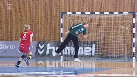 Házená - Česko - Rakousko