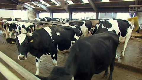 Náš venkov - Farmářovo štěstí