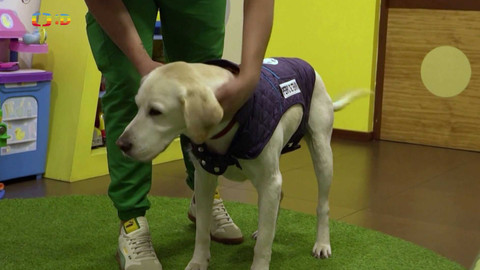 Zprávičky - 3. prosince 2024