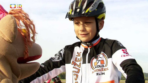 Lvíčata - 12. prosince 2020