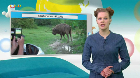 Zprávičky - 17. května 2020