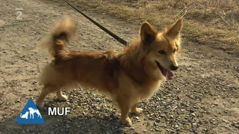 Chcete mě? - Chcete je?