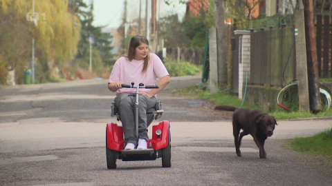 Černé ovce - 14. ledna