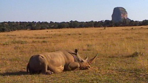 Objektiv - 4. října 2009