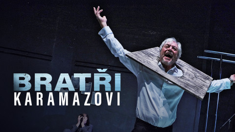 Bratři Karamazovi