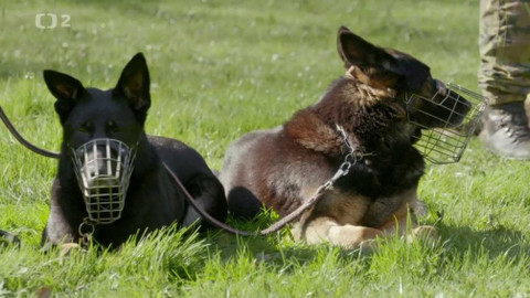 Patrola - Epizoda 11/12