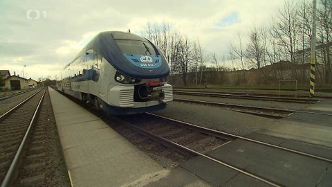 Černé ovce - 1. června 2023