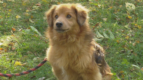 Chcete mě? - Chcete je?