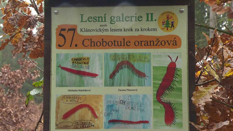 Z metropole - 14. prosince 2019