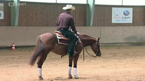 Jezdectví - M ČR v reiningu 2014 Kozlovice