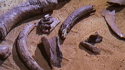 Za svědky minulosti - Tajemství krevelové Venuše