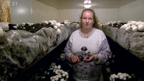 Polopatě - 1. prosince 2013