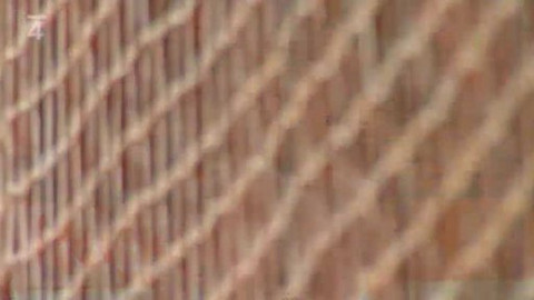 Házená - TJ Lokomotiva Plzeň - HC Dukla Praha