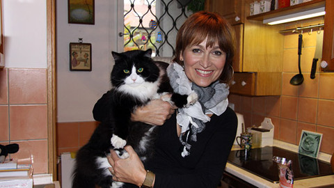 13. komnata - 13. komnata Petry Černocké