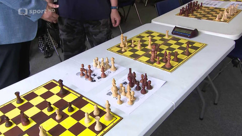 V šachu - Mezinárodní den šachu