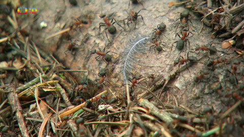 Terčin zvířecí svět - 29. září 2023