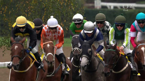 Dostihy - Stříbrná trofej