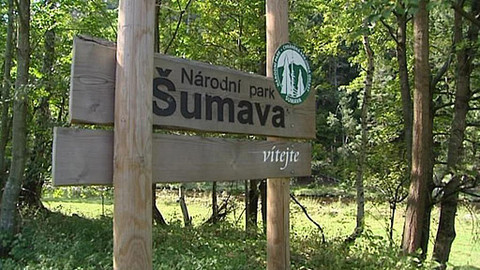 Nedej se! - Elegie za les