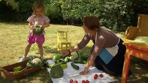 Moje zahrádka - Zelenina na zahrádce