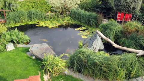 Polopatě - 7. února 2016