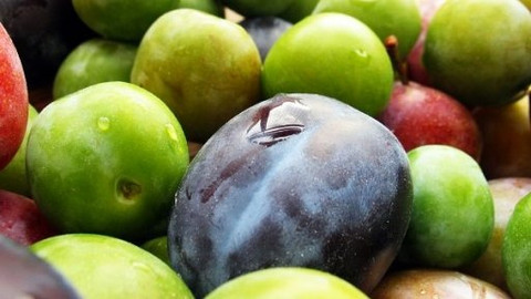 Kluci v akci - Švestková