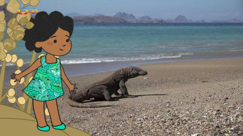 Velká kniha o zvířátkách - Epizoda 36/52