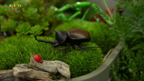 Zprávičky - 12. ledna