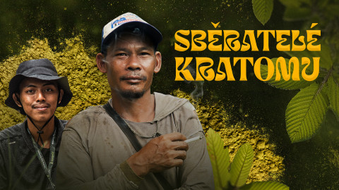 Sběratelé kratomu