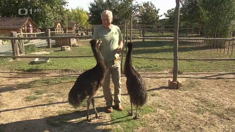 Hobby naší doby - 27. ledna 2024