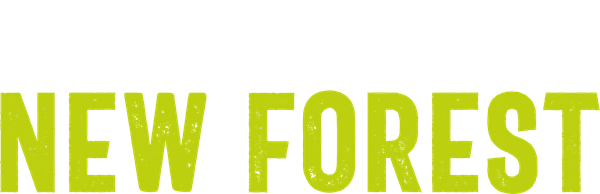 Národní park New Forest