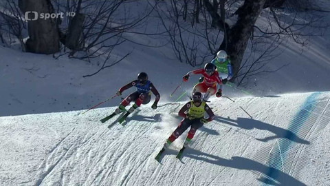 Světový pohár ve freestyle lyžování - Gruzie