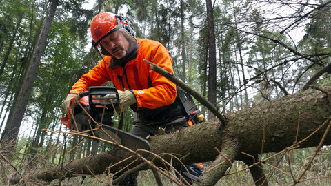 Trvalé bydliště venkov - 16/16 První paseka