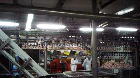 Český žurnál - Hranice práce