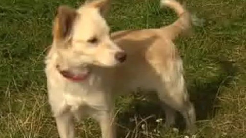 Chcete mě? - Chcete je?